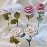 CF Rosa Raso Five Confetti